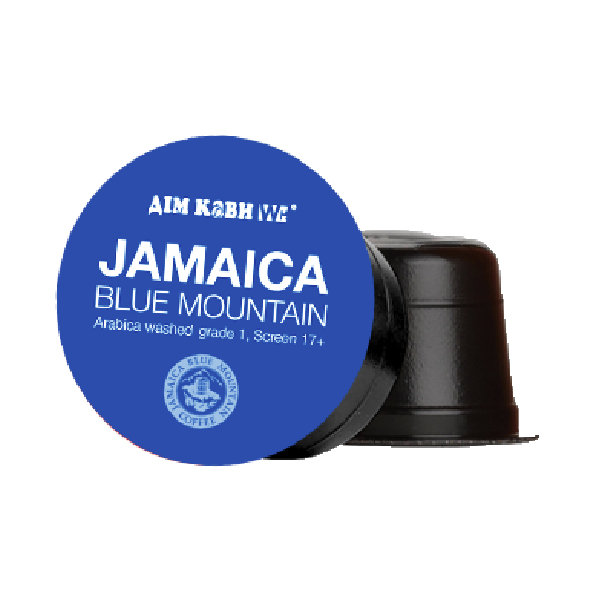 jamaica-600-600