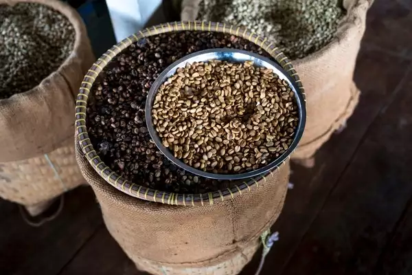 Сушка кави: як це відбувається і яку роль відіграє у питанні якості