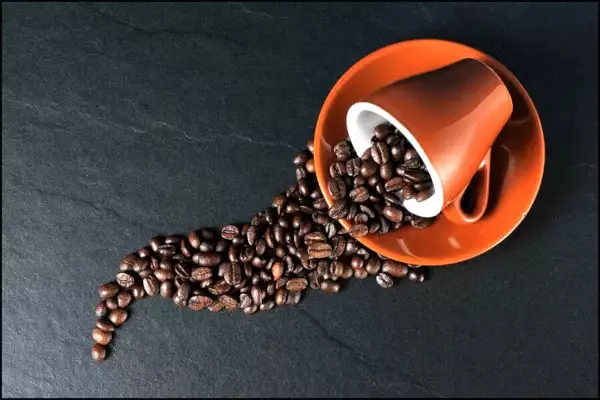 Виды и сорта кофе: как выбрать?
