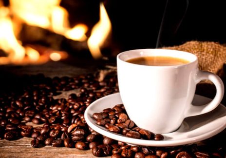 Cafe Imports выпустили серию образовательных видео о кофе