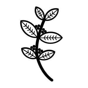 Кофе Арабика